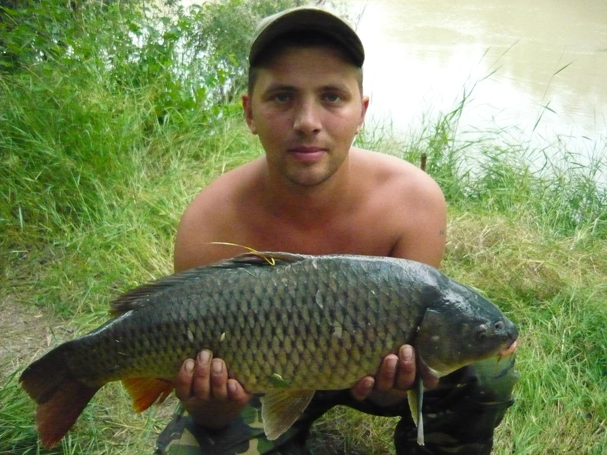 2013 - 171805108636935880181188992o.jpg